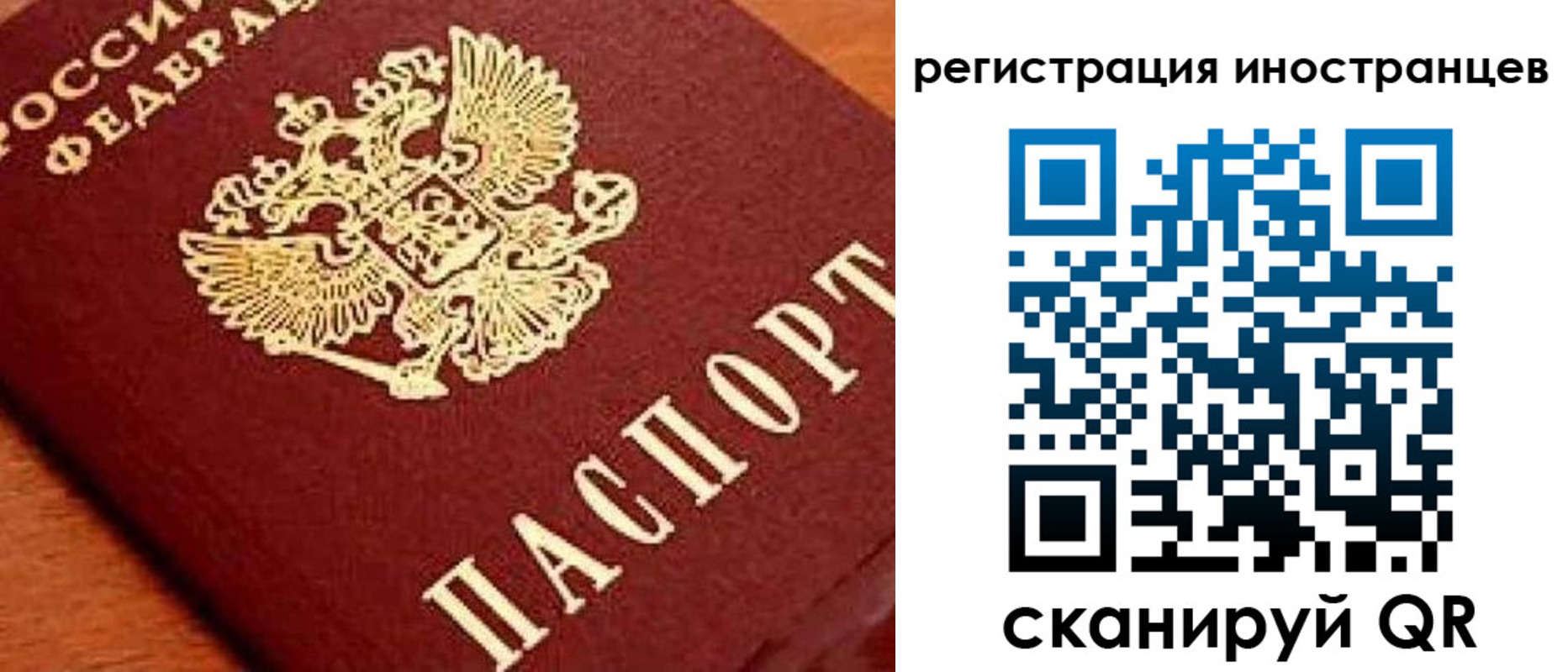 прописка для школы в Реутове